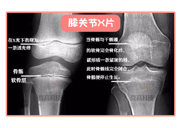 插圖_06.gif