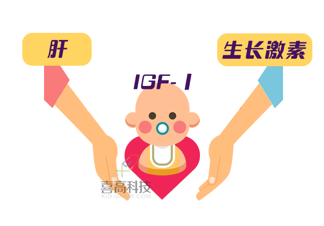 插圖_06.gif