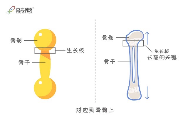 1-3_畫(huà)板 1.jpg