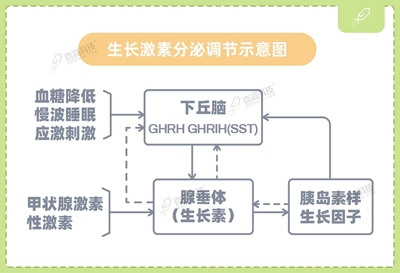 1_畫(huà)板 1 副本 3.jpg